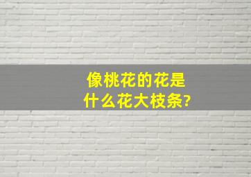 像桃花的花是什么花大枝条?