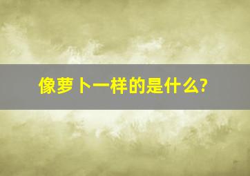 像萝卜一样的是什么?