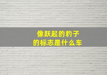 像跃起的豹子的标志是什么车