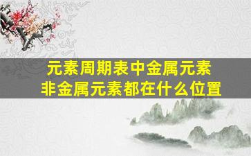 元素周期表中金属元素 非金属元素都在什么位置