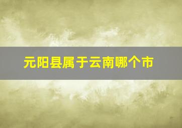 元阳县属于云南哪个市