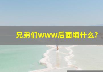 兄弟们www后面填什么?