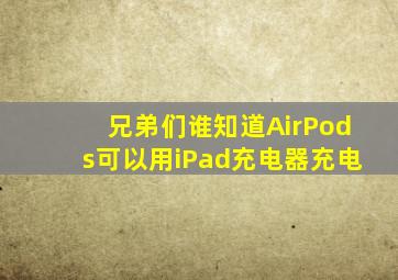 兄弟们谁知道AirPods可以用iPad充电器充电