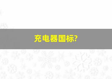 充电器国标?