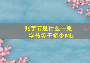 兆字节是什么,一兆字节等于多少Mb