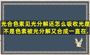 光合色素见光分解还怎么吸收光,是不是色素被光分解又合成,一直在...