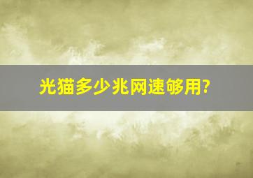 光猫多少兆网速够用?