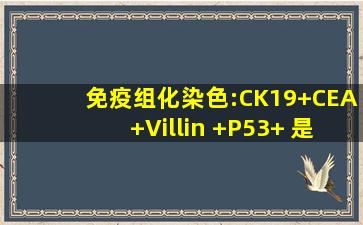 免疫组化染色:CK19(+),CEA(+),Villin (+),P53(+) 是什么意思