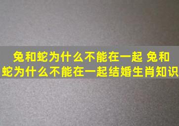 兔和蛇为什么不能在一起 兔和蛇为什么不能在一起结婚生肖知识