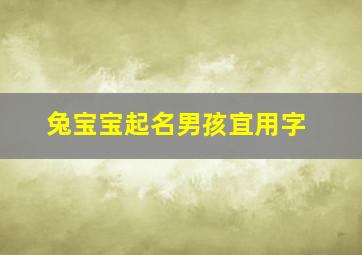 兔宝宝起名男孩宜用字