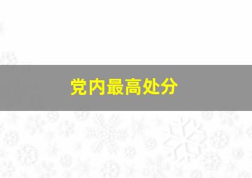 党内最高处分