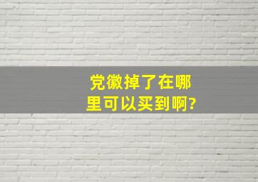 党徽掉了在哪里可以买到啊?