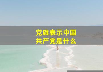 党旗表示中国共产党是什么