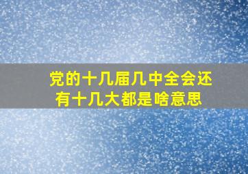 党的十几届几中全会还有十几大都是啥意思 