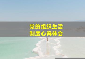 党的组织生活制度心得体会