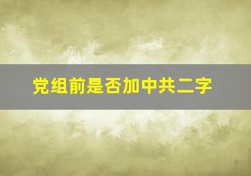 党组前是否加中共二字