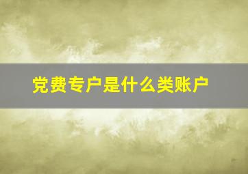 党费专户是什么类账户