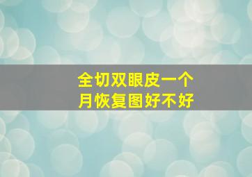 全切双眼皮一个月恢复图好不好