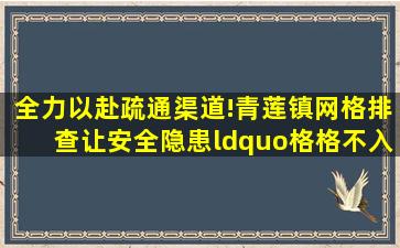 全力以赴疏通渠道!青莲镇网格排查让安全隐患“格格不入”