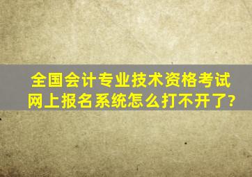 全国会计专业技术资格考试网上报名系统怎么打不开了?