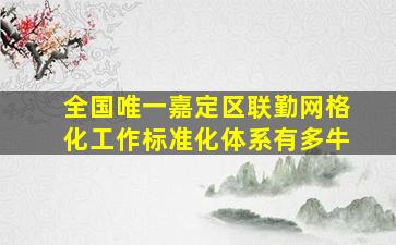 全国唯一嘉定区联勤网格化工作标准化体系有多牛