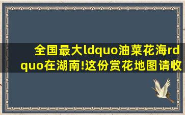 全国最大“油菜花海”在湖南!这份赏花地图请收好 