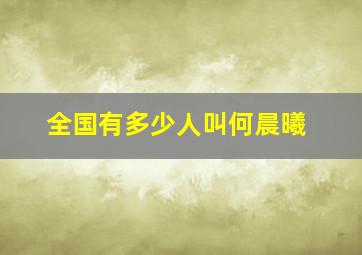 全国有多少人叫何晨曦