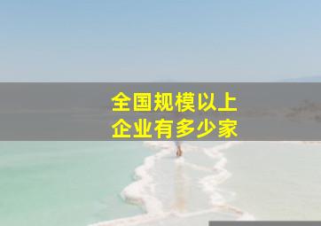 全国规模以上企业有多少家