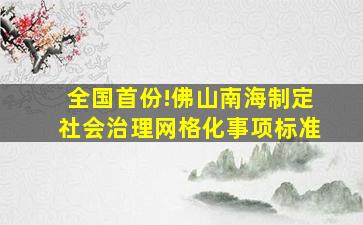 全国首份!佛山南海制定社会治理网格化事项标准