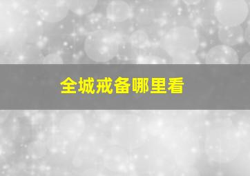 全城戒备哪里看