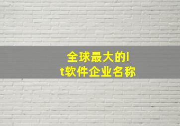 全球最大的it软件企业名称