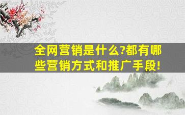 全网营销是什么?都有哪些营销方式,和推广手段!