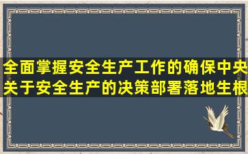 全面掌握安全生产工作的(),确保中央关于安全生产的决策部署落地生根。