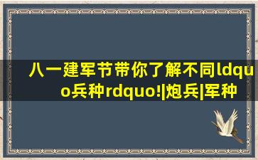 八一建军节,带你了解不同“兵种”!|炮兵|军种|航空兵