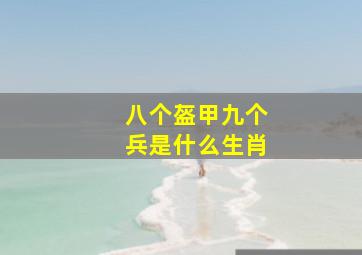 八个盔甲九个兵是什么生肖