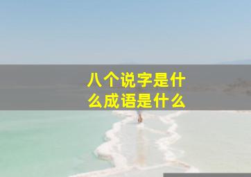 八个说字是什么成语是什么