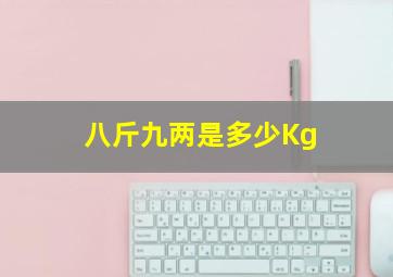 八斤九两是多少Kg