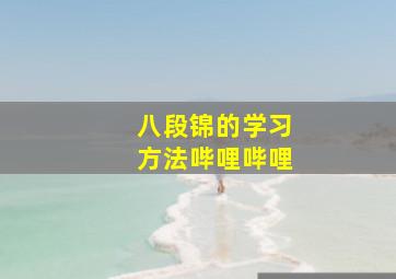 八段锦的学习方法哔哩哔哩