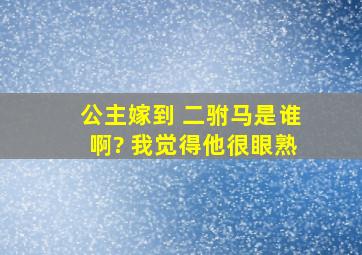 公主嫁到 二驸马是谁啊? 我觉得他很眼熟