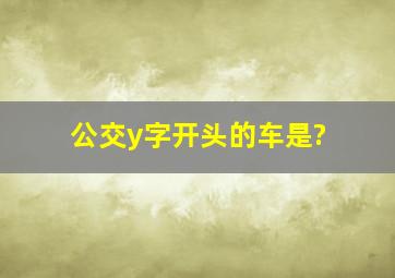 公交y字开头的车是?