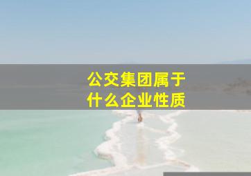 公交集团属于什么企业性质