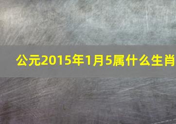 公元2015年1月5属什么生肖