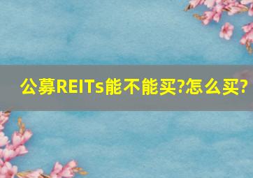 公募REITs能不能买?怎么买?