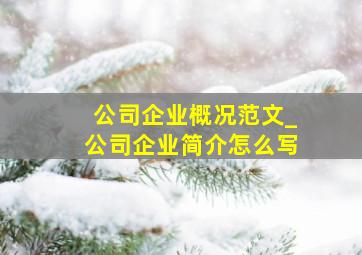 公司企业概况范文_公司企业简介怎么写