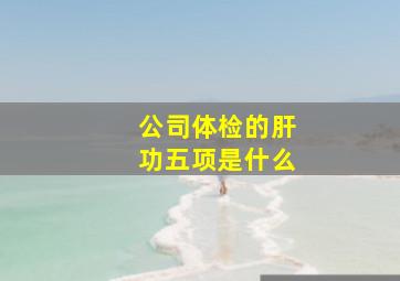 公司体检的肝功五项是什么