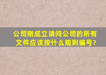 公司刚成立,请问公司的所有文件应该按什么规则编号?