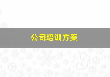 公司培训方案