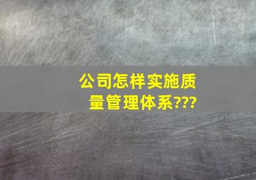 公司怎样实施质量管理体系???