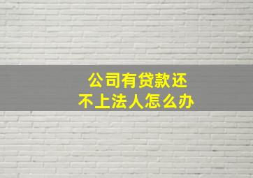 公司有贷款还不上,法人怎么办