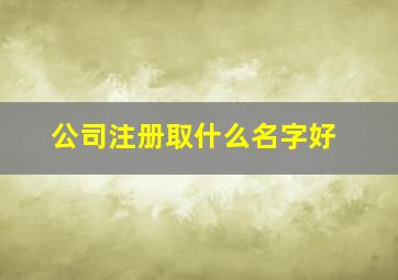 公司注册取什么名字好